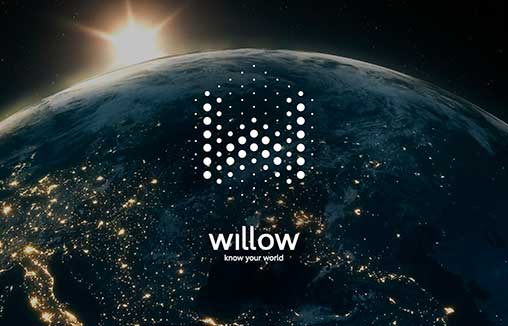Willow