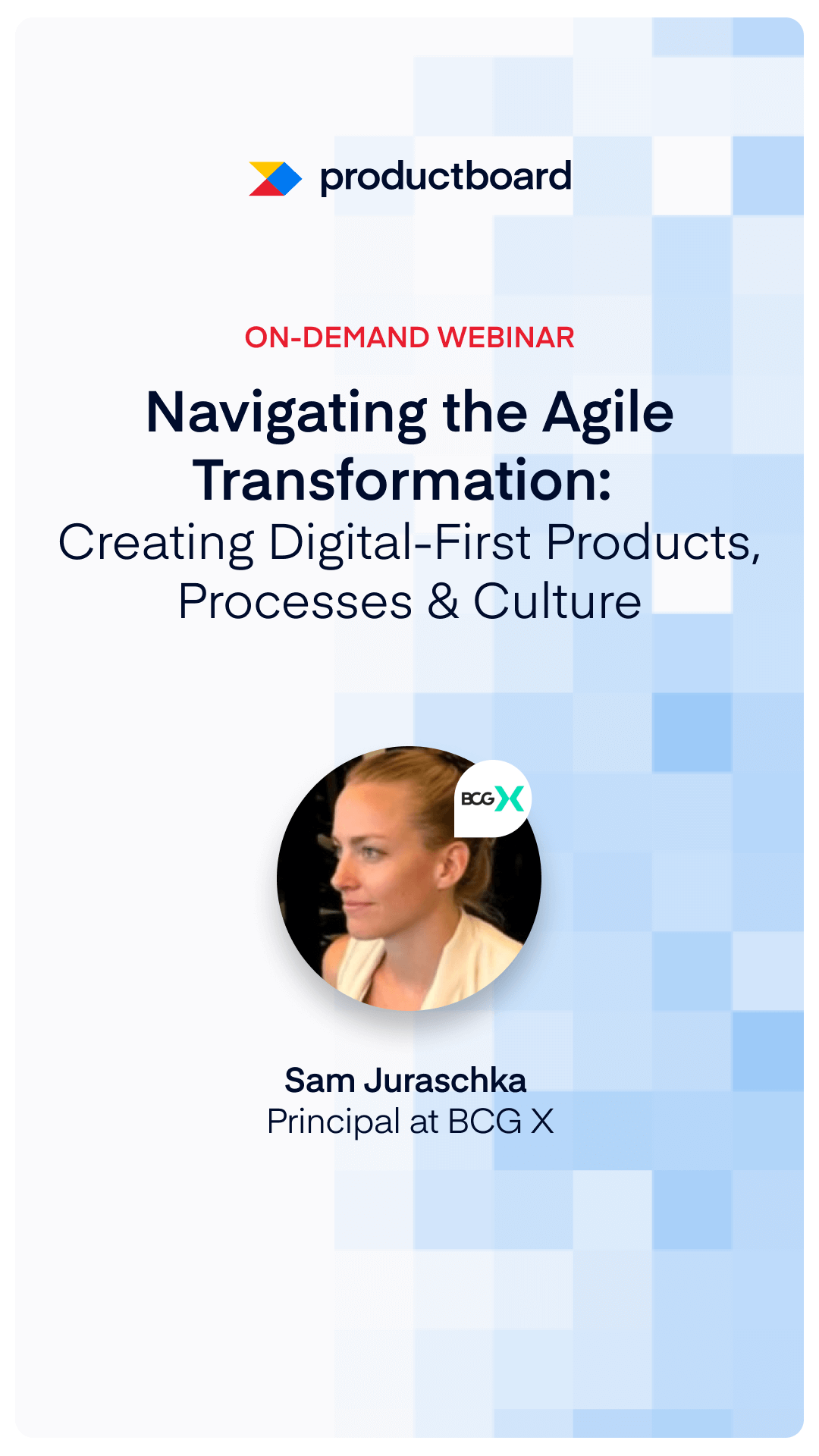 Navigating the Agile Transformation
